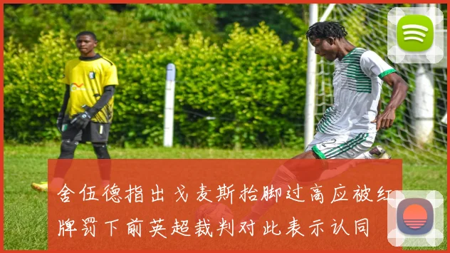 舍伍德指出戈麦斯抬脚过高应被红牌罚下前英超裁判对此表示认同