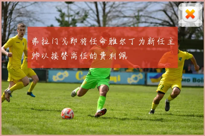 弗拉门戈即将任命雅尔丁为新任主帅以接替离任的费利佩