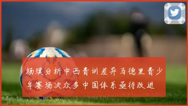 杨璞分析中西青训差异马德里青少年赛场次众多中国体系亟待改进