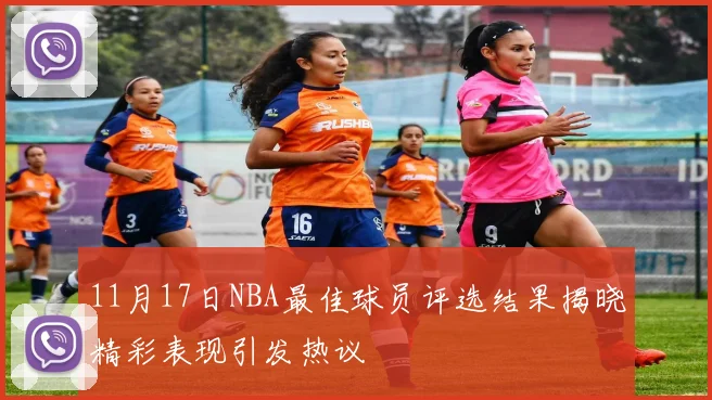 11月17日NBA最佳球员评选结果揭晓精彩表现引发热议